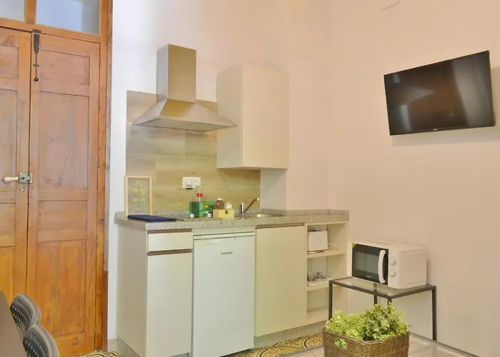 Sunshine * 科爾多瓦